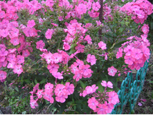 ����  ����������