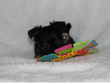 15284143 1223097901089964 3021831322223162063 n.jpg