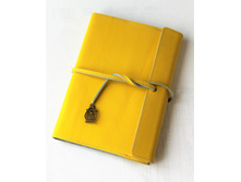 ���������� 850