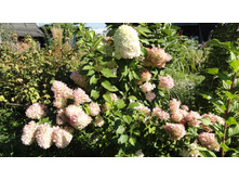 ������� ������