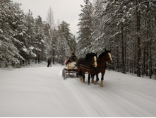 P 20161105 140538.jpg