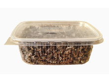 ������ ��������.jpg