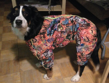 IMG 20161220 201626.jpg