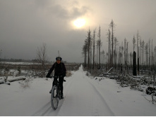 P 20161105 113835.jpg