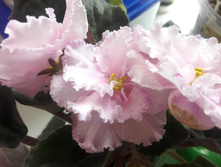 ��-�������