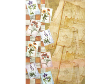 ���������� �����. ���������. �4.jpg