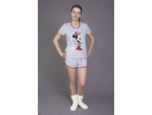 ������ ���� (���.4-70), 250 ���.