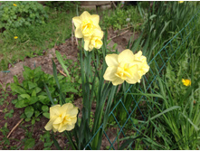 ������� ������ ���������