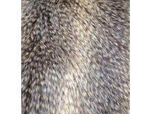 �**��� ����������