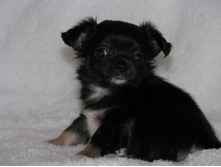 15241318 1223102244422863 303219296668927284 n.jpg