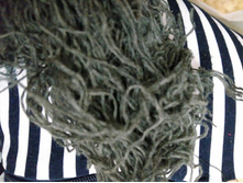 ������ No6