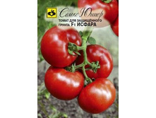 ����� ������ F1 ����� 50,48���. [���.14001130]