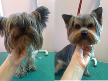 ������ ����� �� � ����� ������� 12.2012.jpg