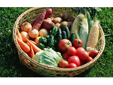 ��������� ������ ��������� �������� ������� ������