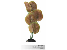 �����  � ��������, 20��