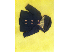 �������� 12 ���.