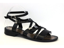 W2200-C10-1 00000043484.jpg