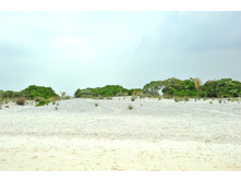 DSC 2440 485.JPG