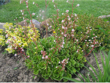 ���������� �������