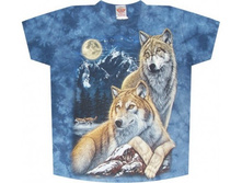 ������� �������� � ������ TD 177 S M.jpg