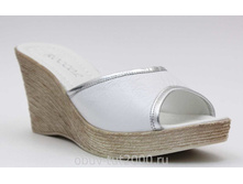 ������ ROCCOL �������: 1825-611-6409 ������ 800�