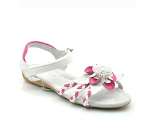 ��������� �.���� (31-36)