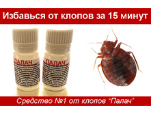 �����-! ! ! �� ������ (���� �� 5 ��) ��� 00087779 350,00 ���..png