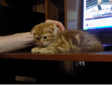 ������ �� 2017 086.jpg