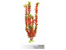 �������� �������� �������