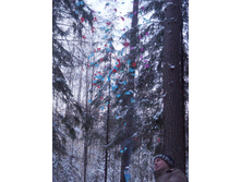 2017-01-04 15.42.06 cr.JPG