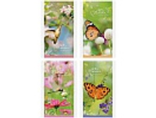 ������� �6 48�. �� ������� �����. Tender flower 8,6.jpg