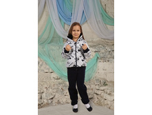 ����� ��� ������� ���-2