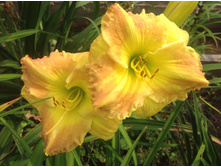 �������� ����