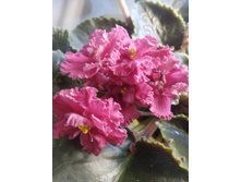 IMG 20161207 102135.jpg