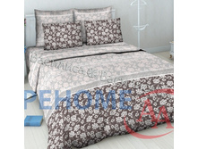 5484-1 ��� ���� �� ����� ���� ��������