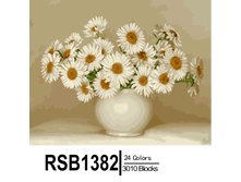 RSB1382 24-3010 副本0002-500x500.png