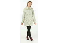 ����� ����� - 2040 ���