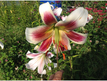 �-� ������