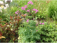 ����������� �����������