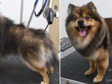 Em9vZ3J1bWluZy5ydQ==!DSC 864470188531245.jpg