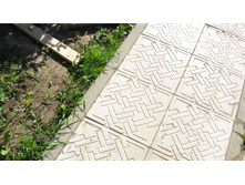 53c658f884d44 iobaenie 122.jpg