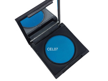CEL07 enl.jpg