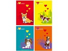 �������-�������� 48�. �6 ��� ������ ����������� ���� Language focus 9,96.jpg