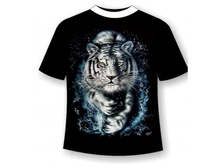 �������� ����� ���� R 404 S L.jpg