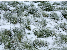 ���������� ����� ����������� 1�� ��� 00097328 197,60 ���..jpg