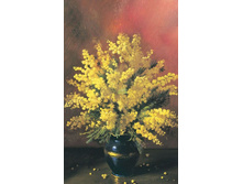 ����� ����������� ����� - M-8-11