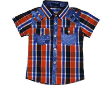 DSC03980 enl — �����.jpg