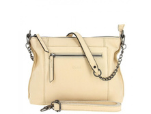 5061 aprikot ���� 2595 ��.jpg