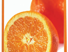 326������  MD-1420-2 ����� ����������� 140x203 ��������