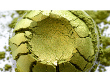 ������� ������� ������